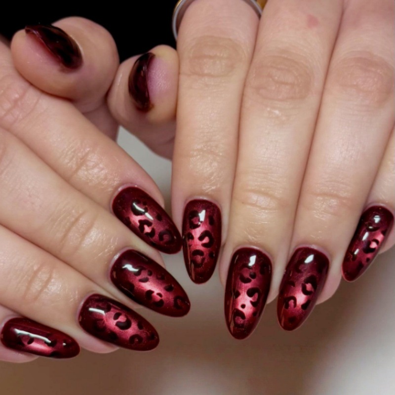 24 قطعة من أظافر الوردي الأحمر - مراجعة Nail Art Zebra وسعره