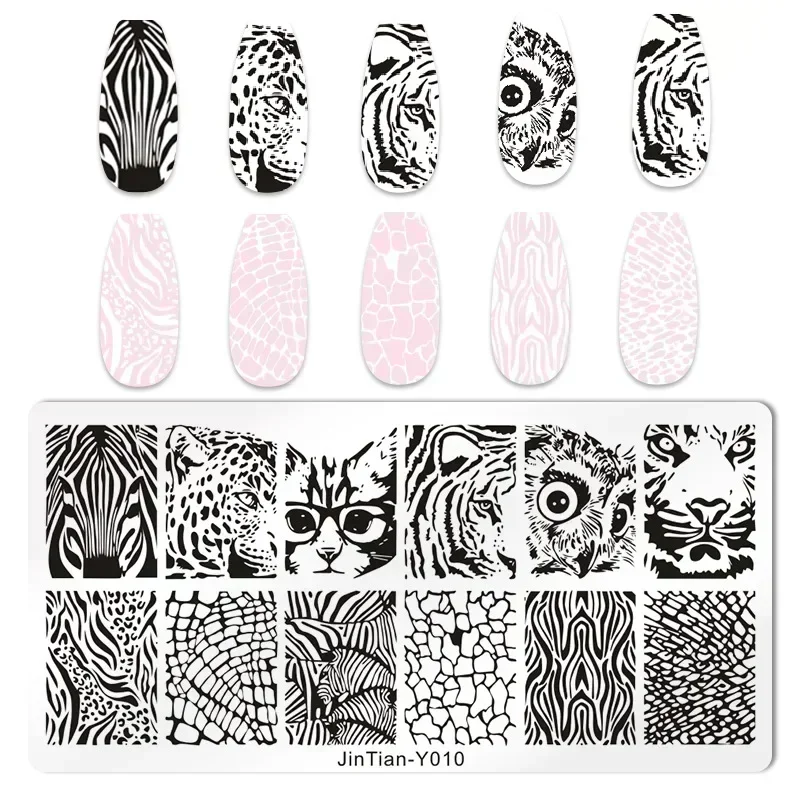 النمر زيبرا ليوبارد طباعة مسما - مراجعة Nail Art Zebra وسعره